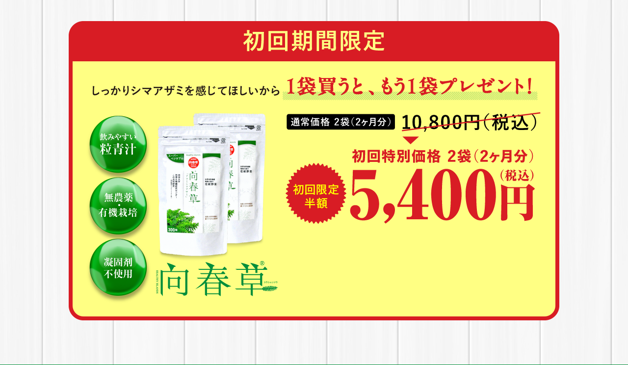 初回期間限定