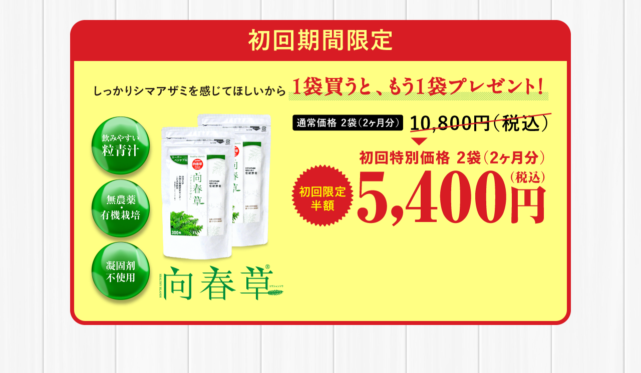 初回期間限定