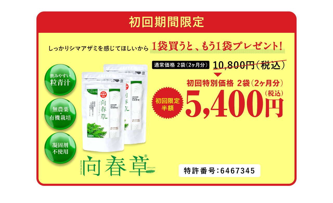 初回期間限定