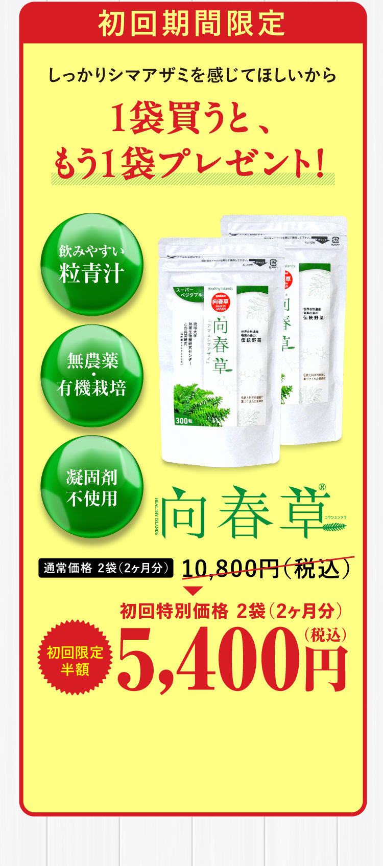 初回期間限定