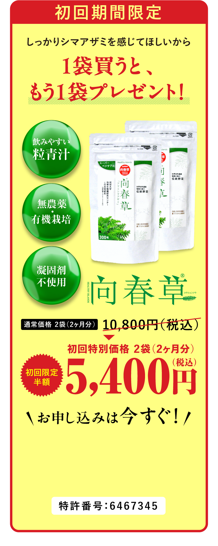 初回期間限定