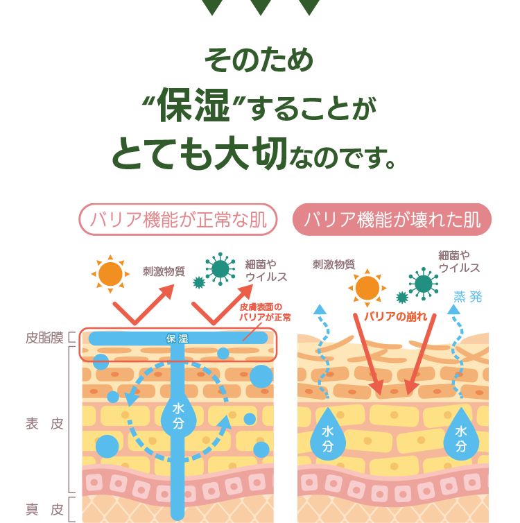 保湿をすることが大切