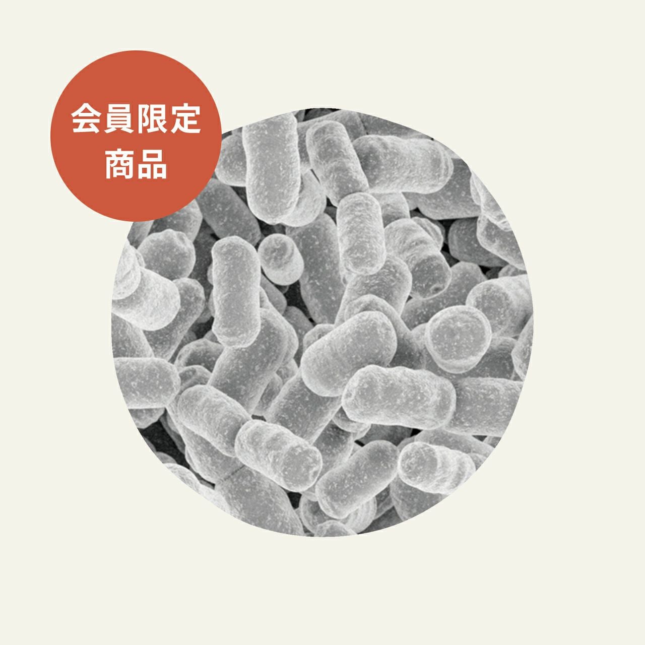乳酸菌 | 水の杜